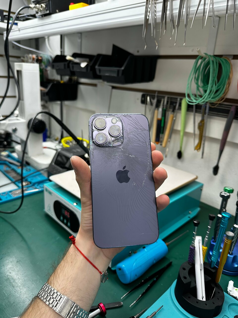 Apple Production — фотография 1
