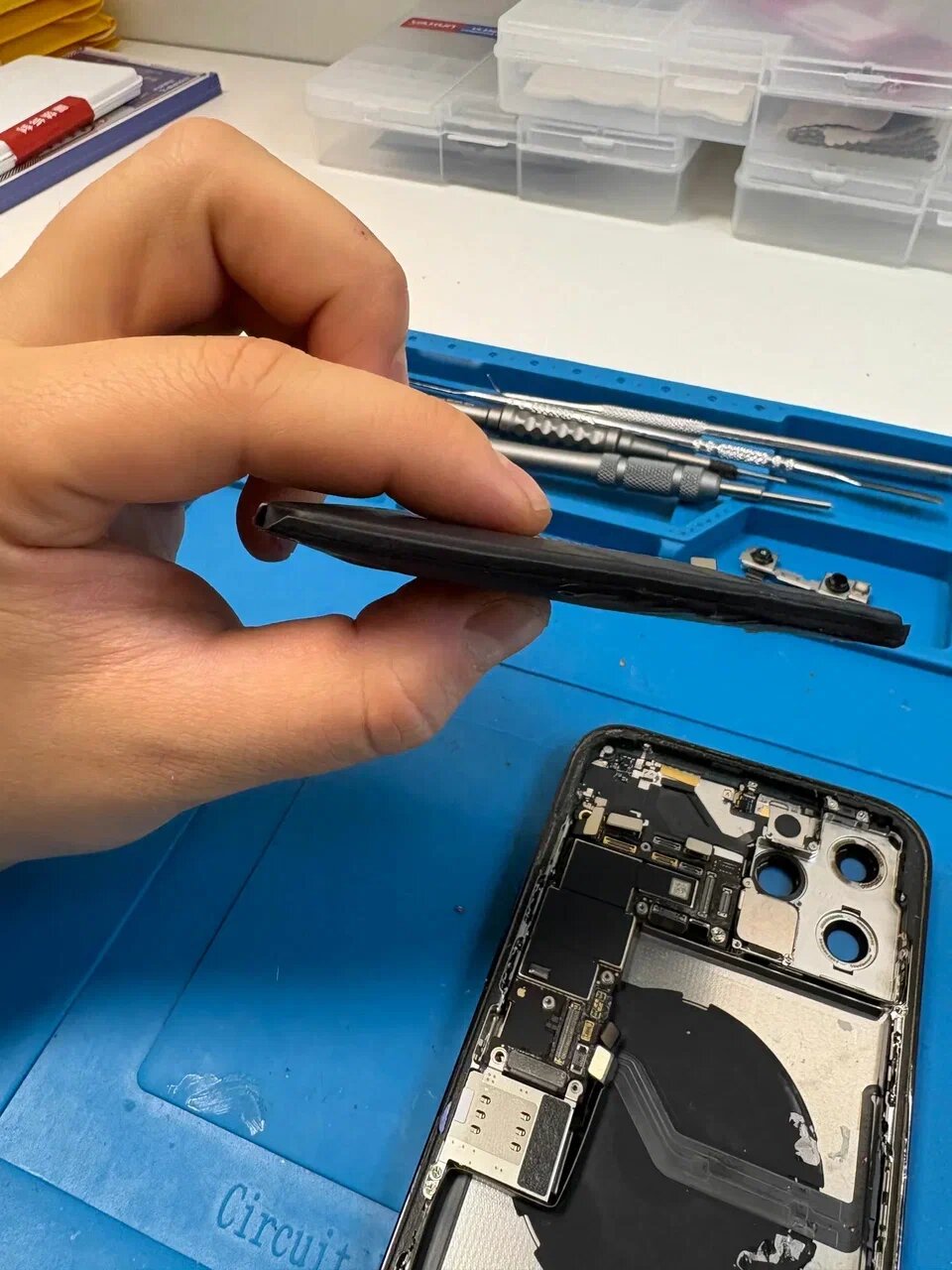 Apple Devise — фотография 1